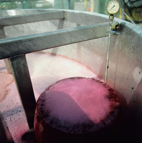 英國(guó)食品F1075消泡劑應(yīng)用場(chǎng)景